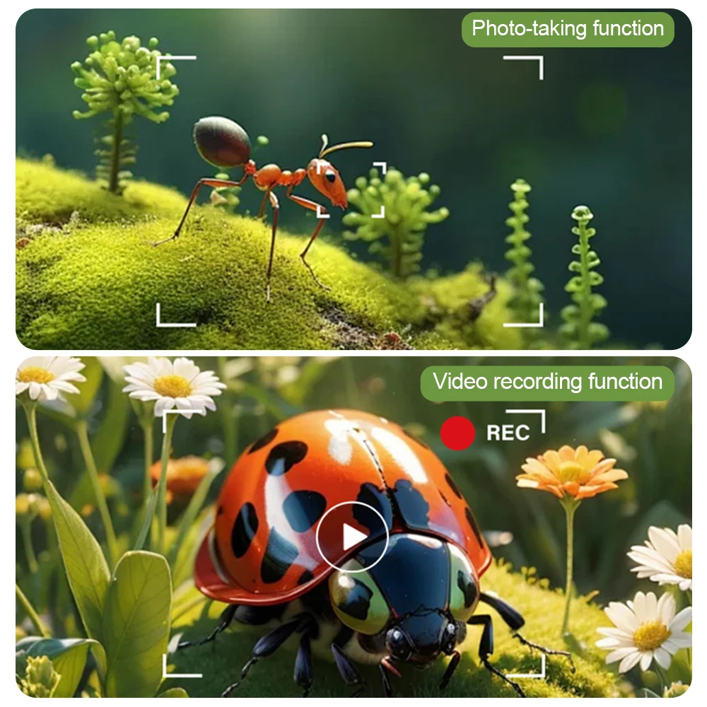 Microscópio infantil portátil portátil, 2 espaços, ampliação, microscópio digital, educação infantil, brinquedo científico, presente