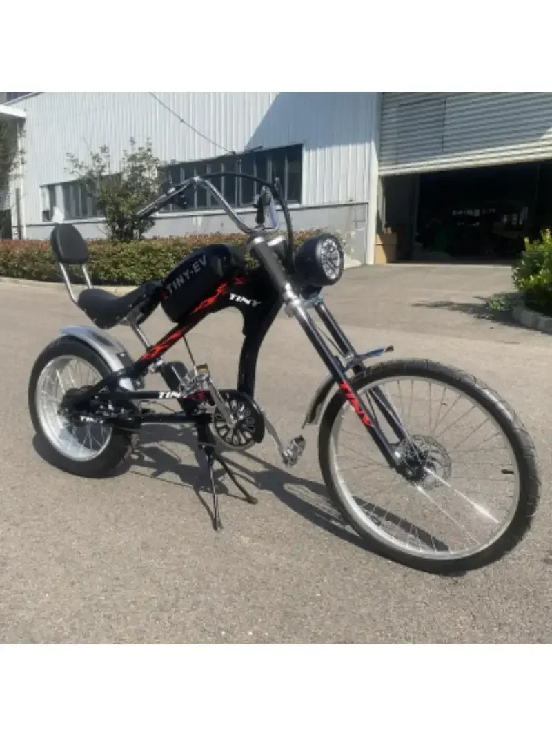 AliExpress CNZKO 2024 new car high carbon steel leisure wagon lithium battery brushless motor assist bicycle wholesale