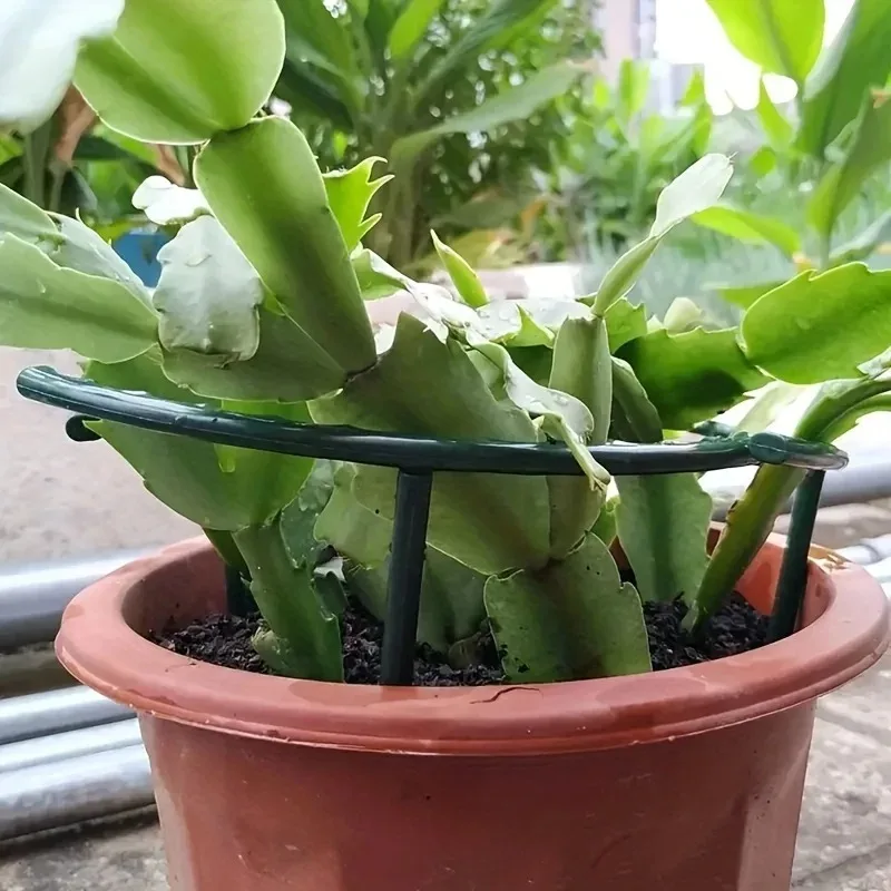 Plastic Plant Support Stakes Semi-Circle Fixed Rods for Climbing Vine Flowers Indoor Greenhouse Arrangement, Plant Trellis