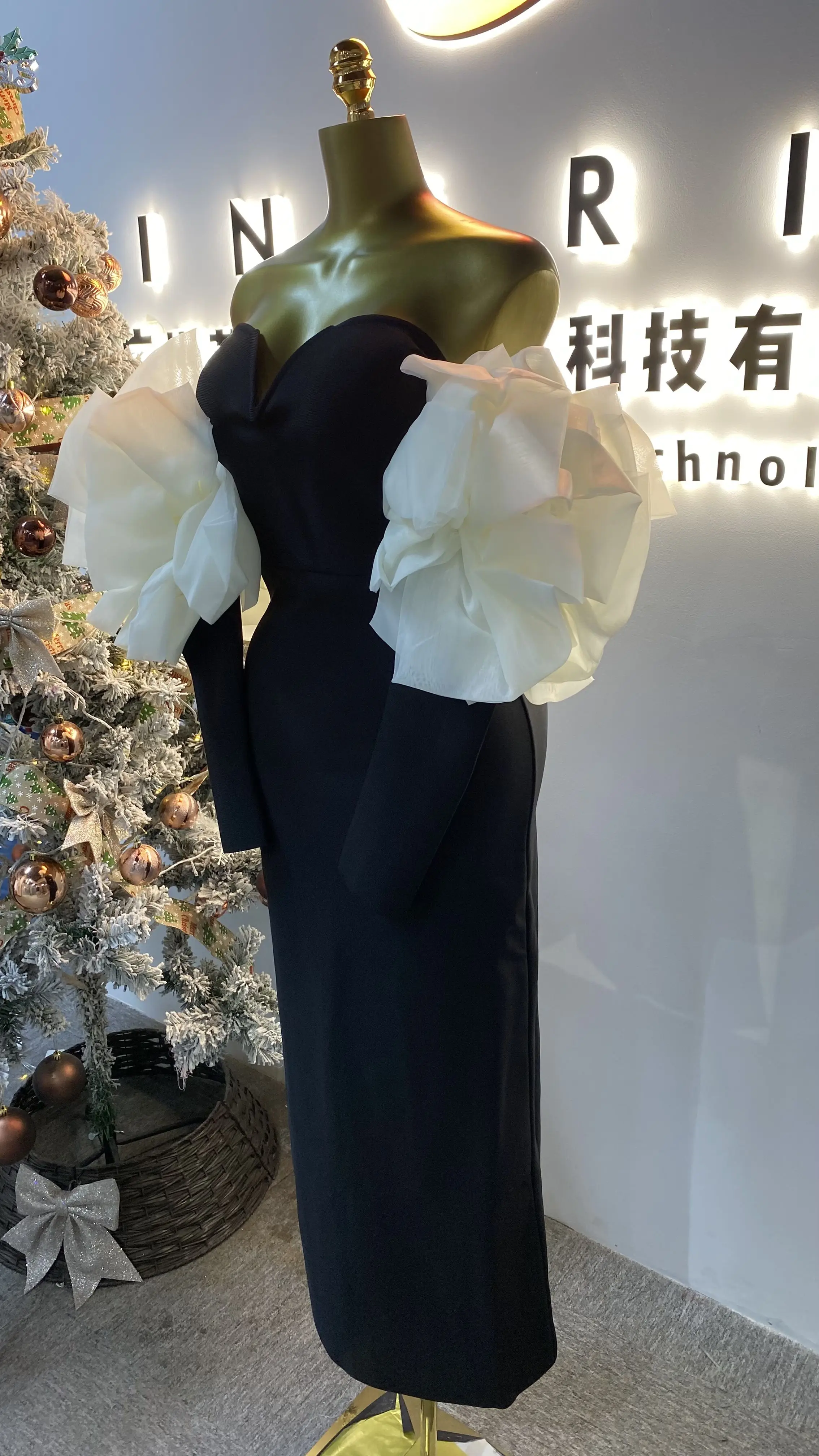 فستان نسائي أنيق وأنيق مخصص ثلاثي الأبعاد للحفلات المسائية النسائية-GZXX058