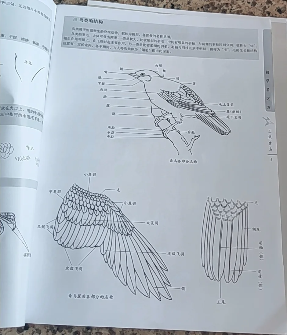 1pc Beginner's Guide To Gongbi Birds And Flower Technique Chinese Painting Tattoo Reference Book For Art Enthusiasts