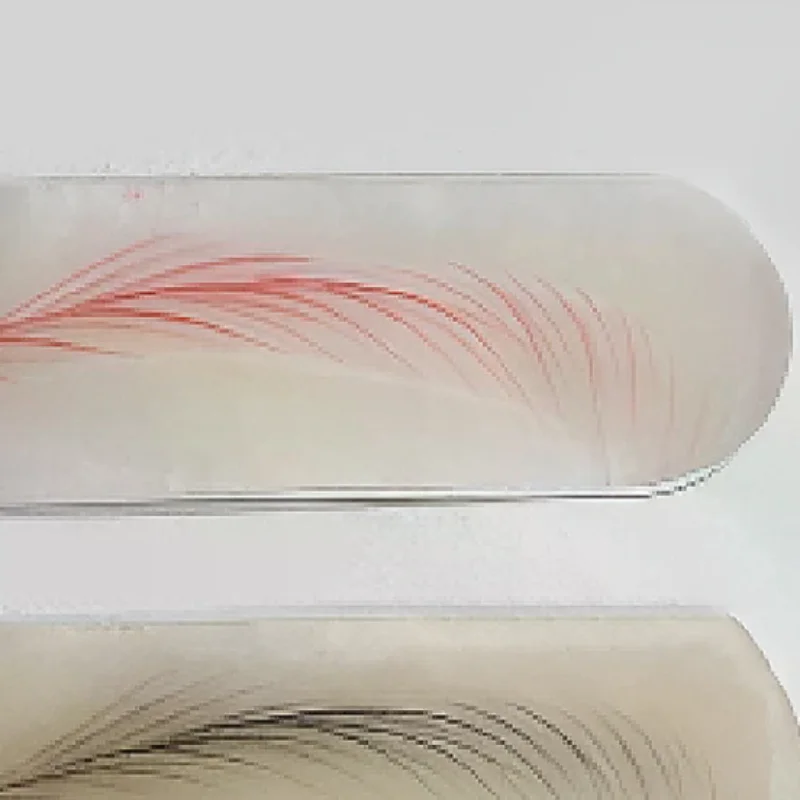 10/20/30/50 pcs Permanent Eyebrow Practice Skin Makeup Tattoo Teacher Practical Sticker Beginner Adhesive Eyebrow Practice Tool