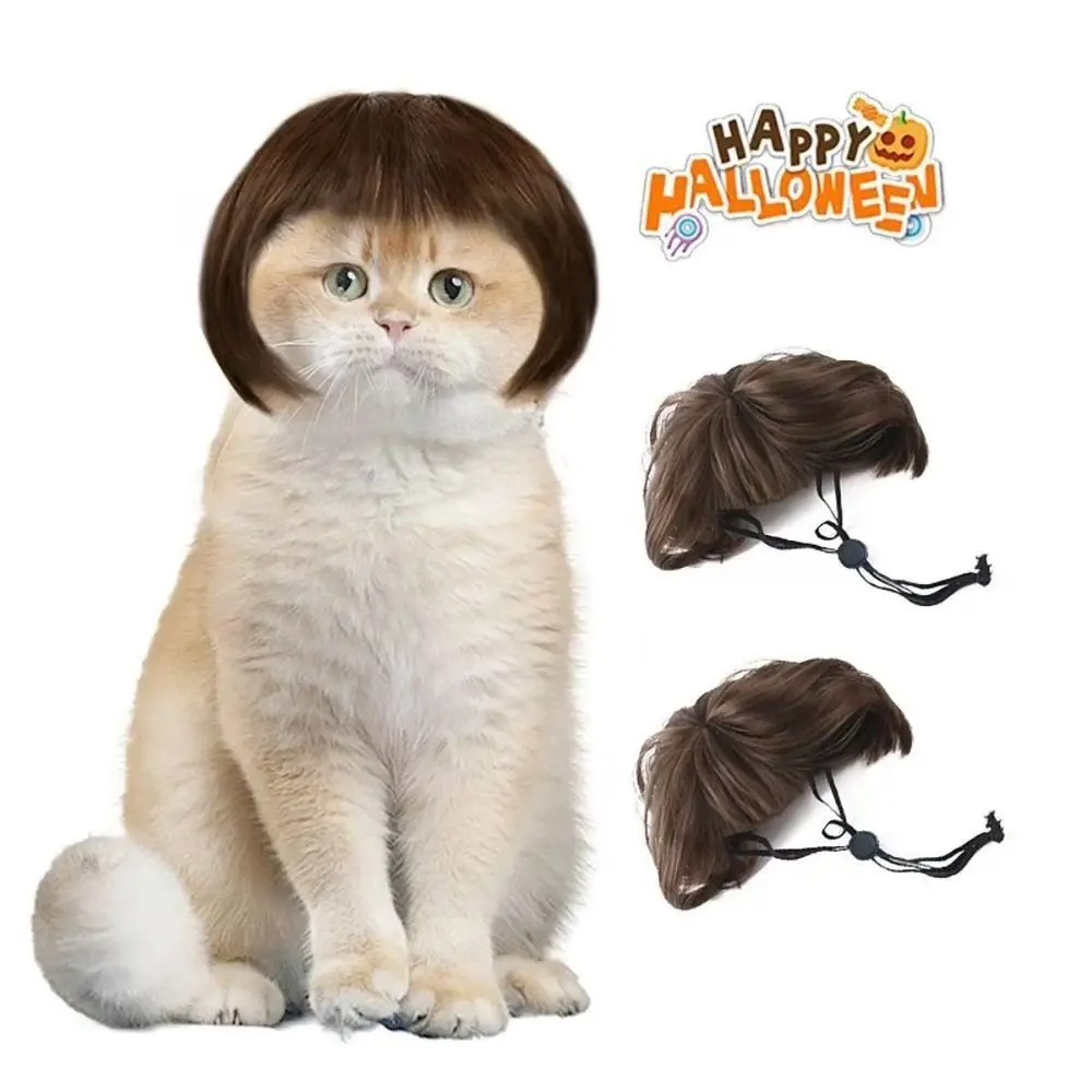 Funny Costume Fluffy Texture Pet Wig Afro Fringe Bangs Style Cat Wig Adjustable Fit Wavy Hair Bob Wig Costume Party
