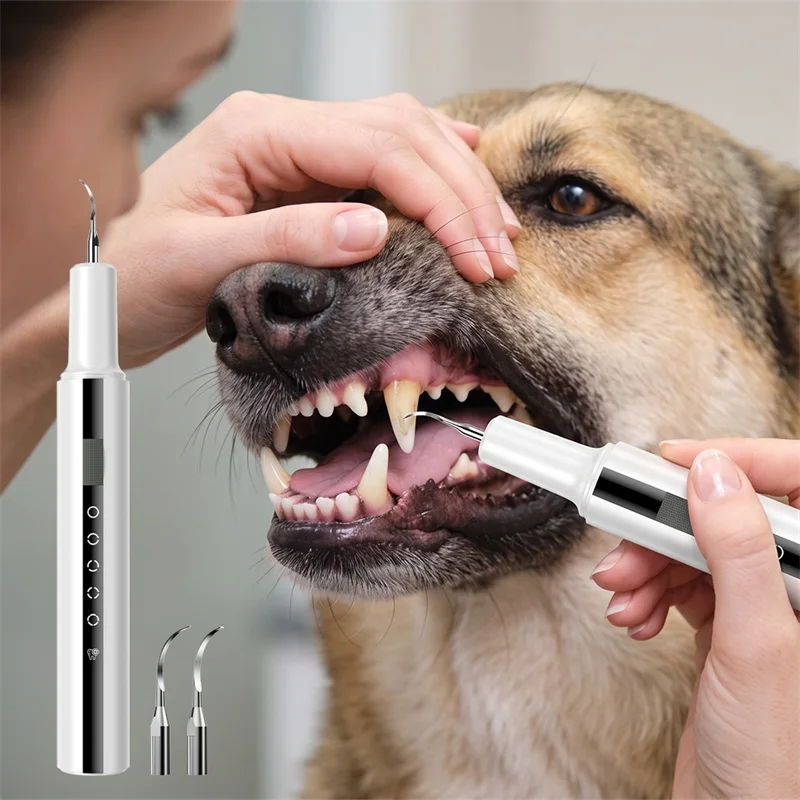 Zahnsteinentferner für Haustiere, Ultraschall-Reiniger, Zahnreinigungsset für Hunde, Entfernung von Zahnstein, Flecken und Ablagerungen, Zahnpflege für Hunde – Detail 1