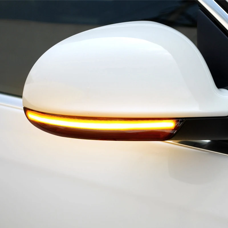2pcs For VW GOLF 5 GTI V MK5 Jetta Passat B5.5 B6 Sharan Superb EOS Dynamic LED Turn Signal Light Side Wing Mirror Indicator