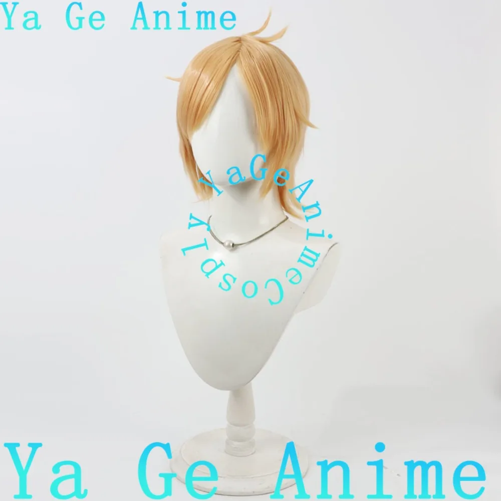 يا جي أنيمي توكين رانبو هوتشو توشيرو شعر مستعار تأثيري هالوين أنيمي لعبة الواقع تظهر شخصية شعر مستعار #3