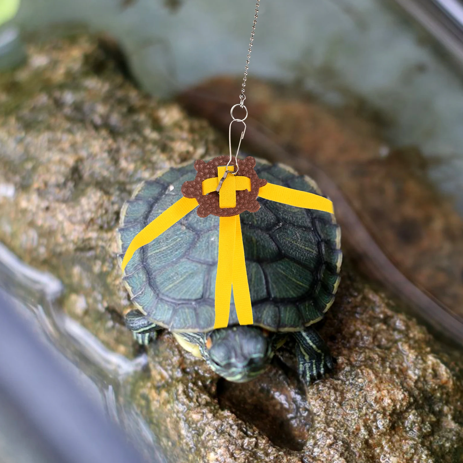 Reptile Leash Pet Training Leash Turtle Training Leash Turtle Lead Turtle Leash