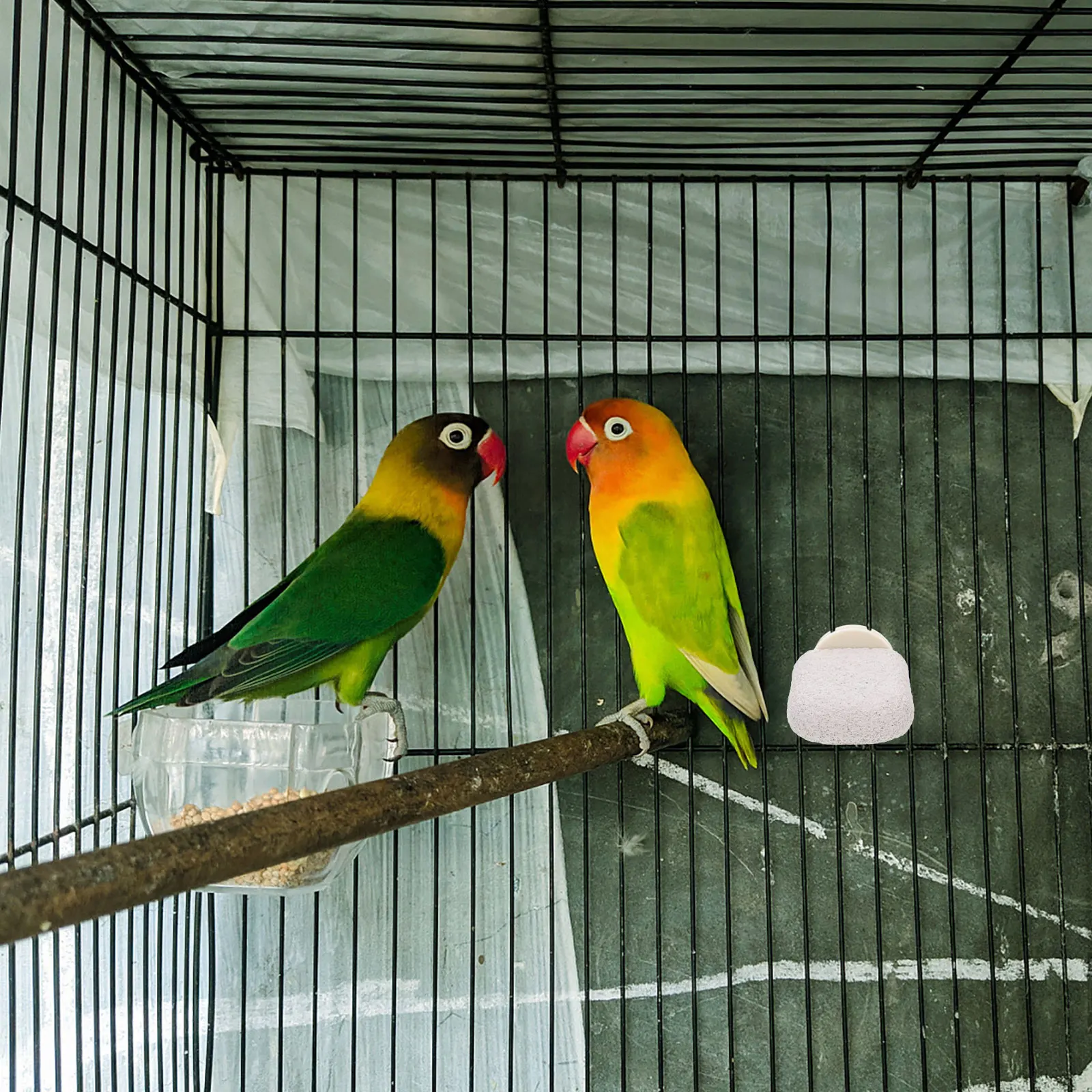 

Parrot Stand Pole Claw Grinding Rod Platform Bird Perch Standing Cage Frosted Birds Pumice Pet Swing