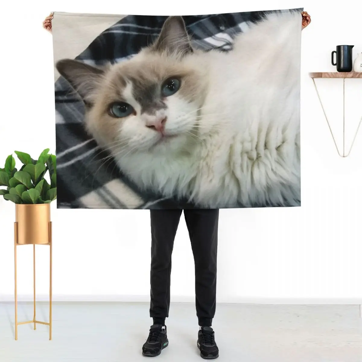 Ragdoll Cat Beauty Throw Blanket For Decorative Sofa Moving Cute Plaid Single Beach Soft Blankets