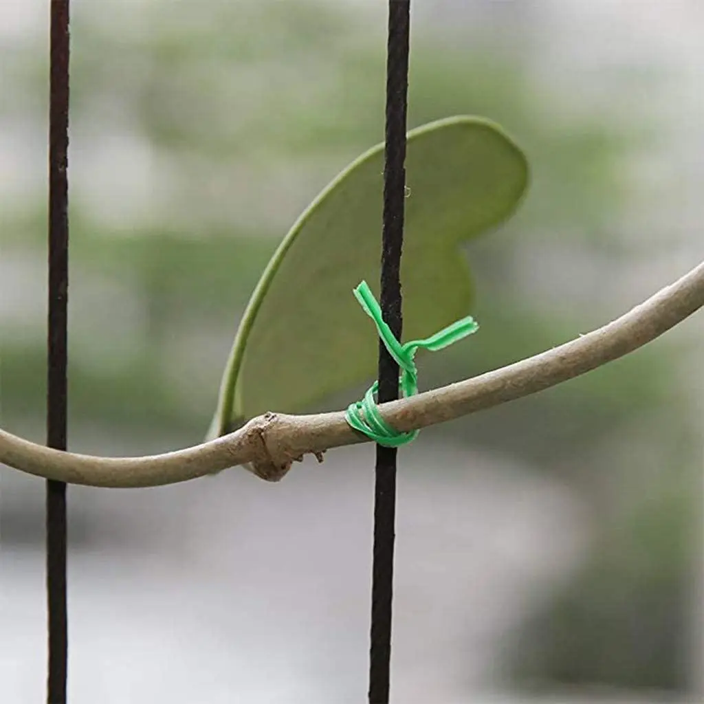 FLYY-Gardening Twisted Wire With Gardening Twisted Green Wire, Home Use, Office (20M, Green)