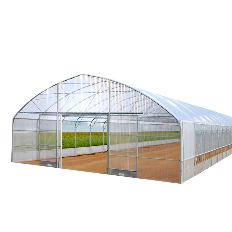 

2025Hoop Agricultural Steel Frame Tunnel Green House Structure Greenhouse