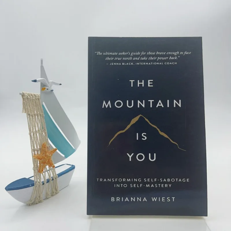 

The Mountain Is You Book The Mountain Is You Романы Ielts English Atomic Beans Boy on Row
