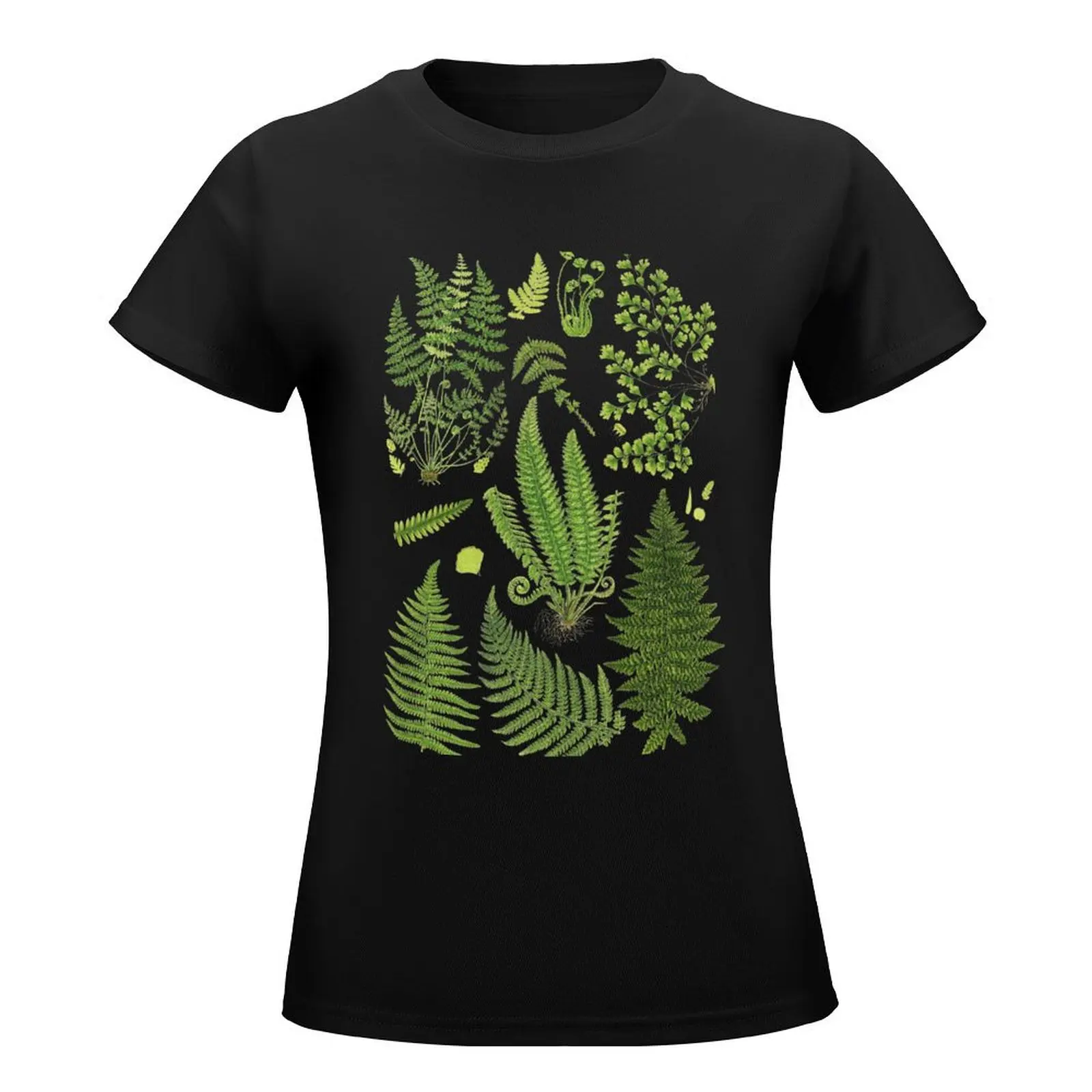 Fern Chart study T-Shirt plus size tops hippie clothes summer top Women's tops