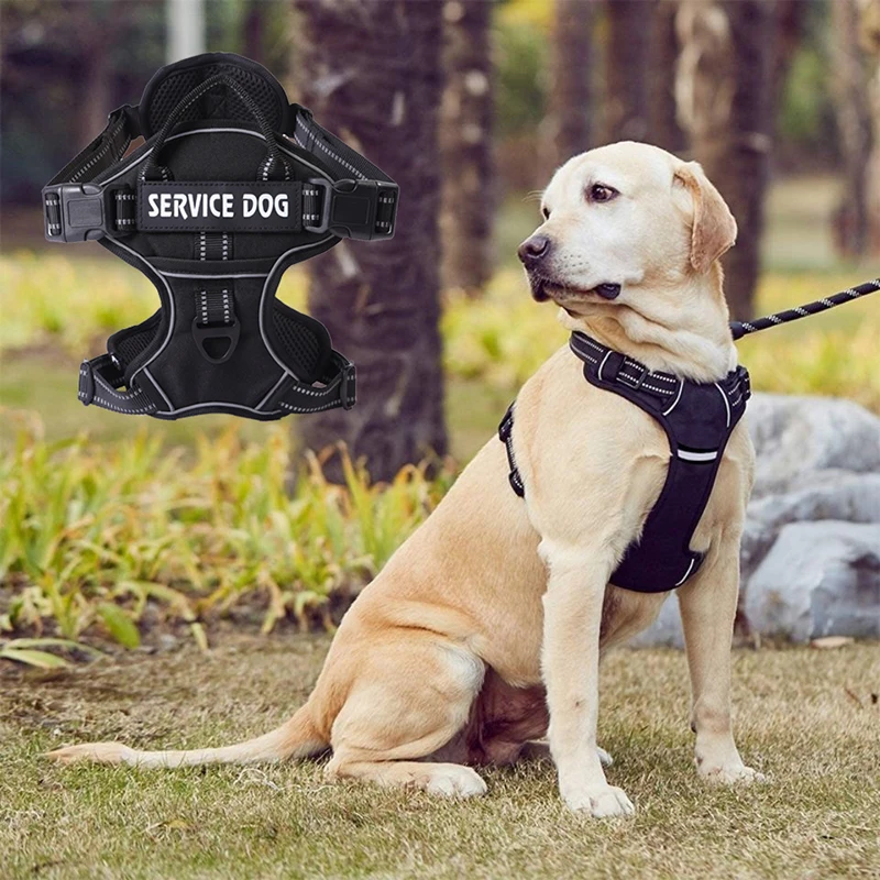 

Oxford Big Dog Harness and Leash Set Reflective Adjustable Pet Vest Harnesses for Medium Large Dogs Golden Retriever Husky Dogo