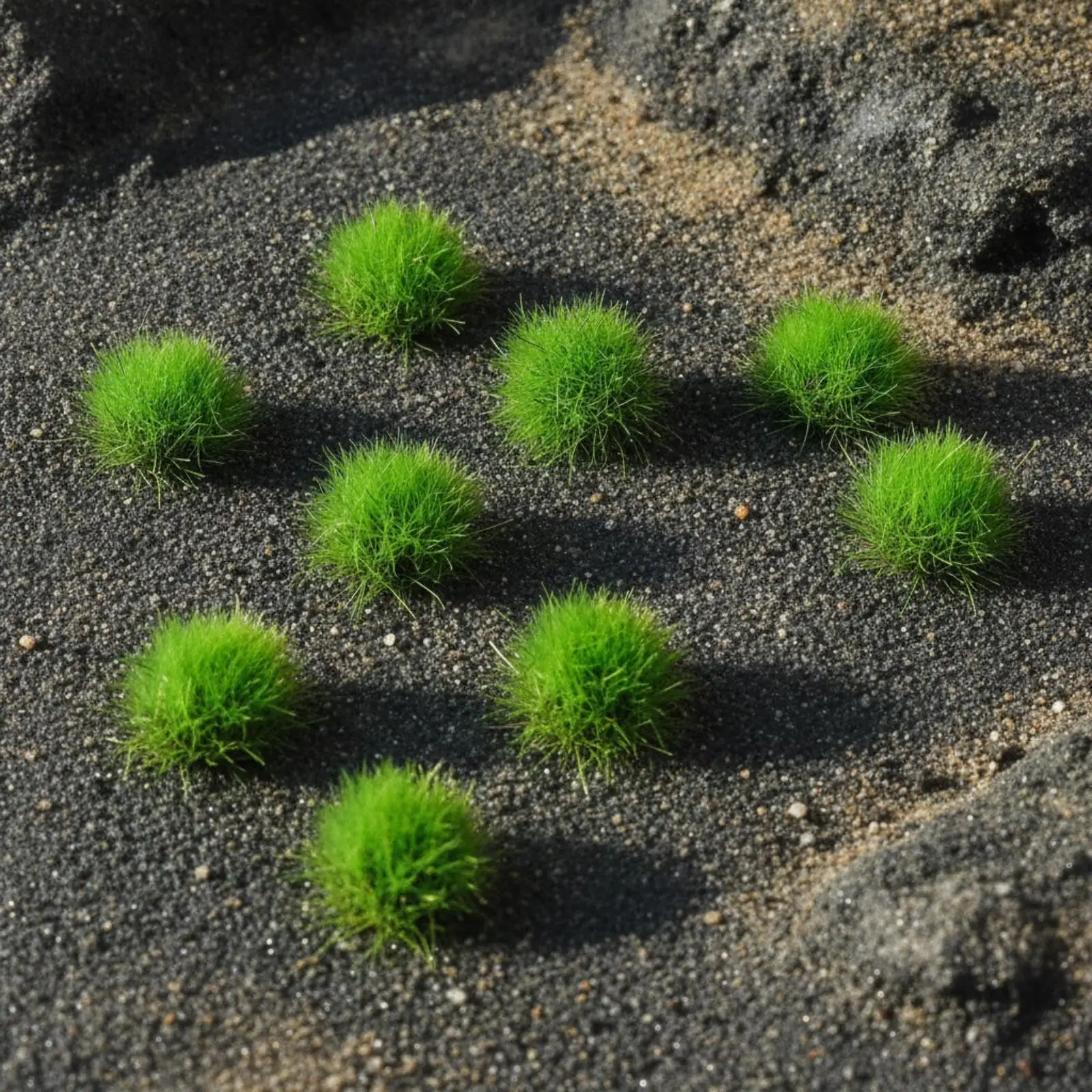 15 Pieces 10mm Nylon Grass Clump Realistic Flocked Miniature Grass Tuft Looking Miniature Basing Material for DIY Craft