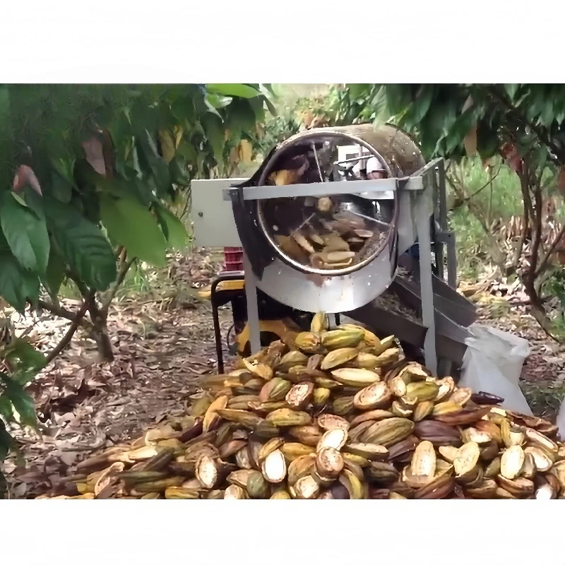 آلات معالجة الكاكاو الأوتوماتيكية آلة معالجة مسحوق الكاكاو آلات معالجة الكاكاو #3