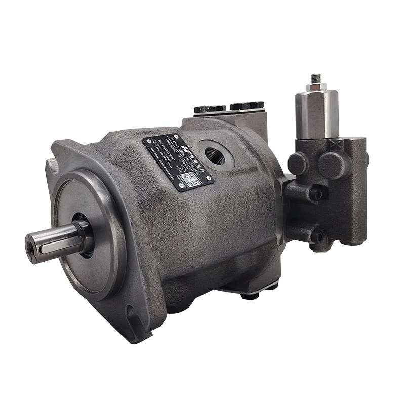 Jiangsu Hengyuan A10VSO * * DFLR/31R-PPA Hydraulic Axial Plunger Pump