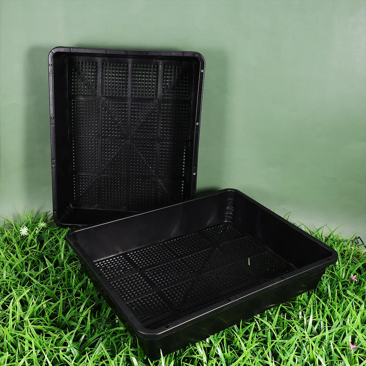 

Набор из 2 утолщенных пластиковых лотков для проращивания семян 37x30 см, для хранения фруктов и овощей, поддон для рассады
