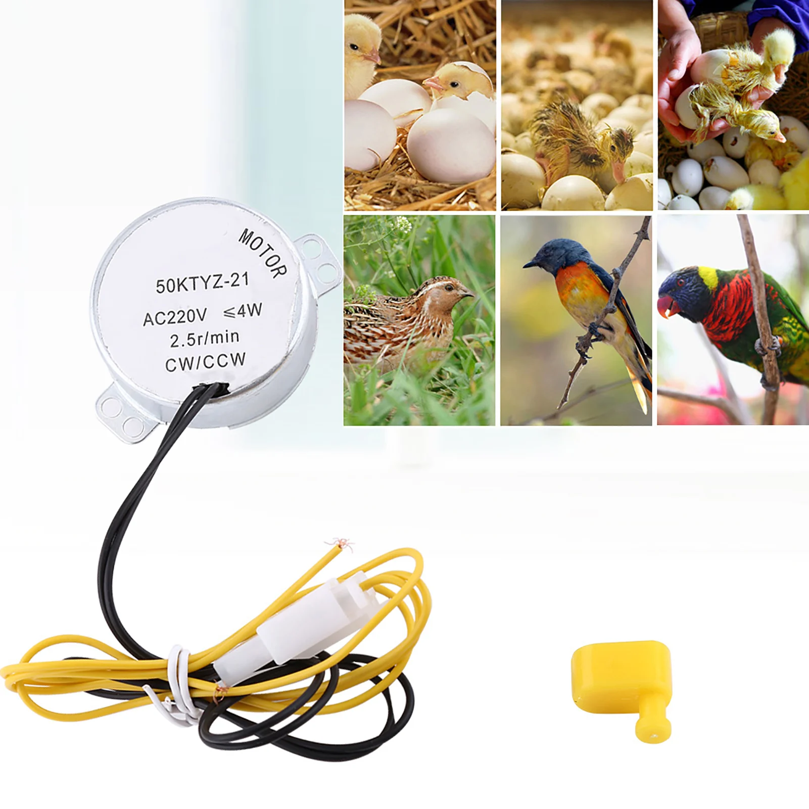 2 Types 110/220V AC Chicken Egg Turner Rotator Incubator Motor With Connector Egg Rotator Motor Egg Turner Motor Incubator Motor