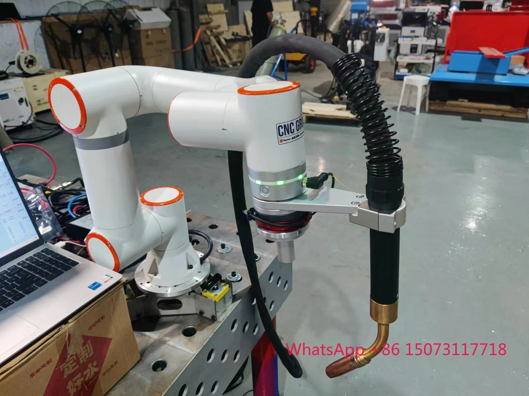 Braccio robotico collaborativo a 6 assi Braccio robotico 5 kg Carico utile 922 mm Cobot