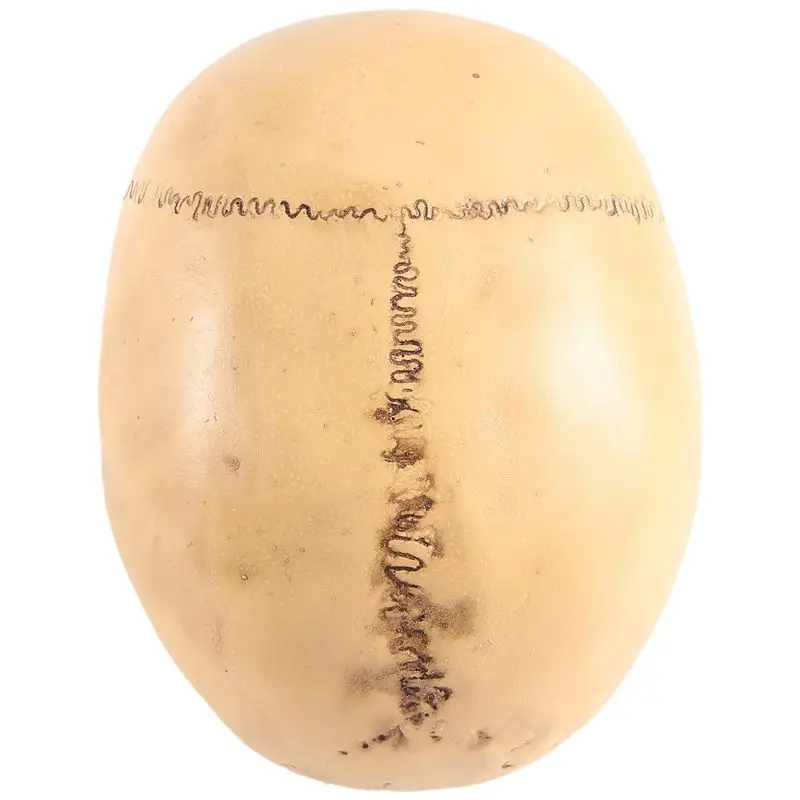 M12K-Model 1: 1 Resin Human Skull Anatomical Teaching Decoration Yellow