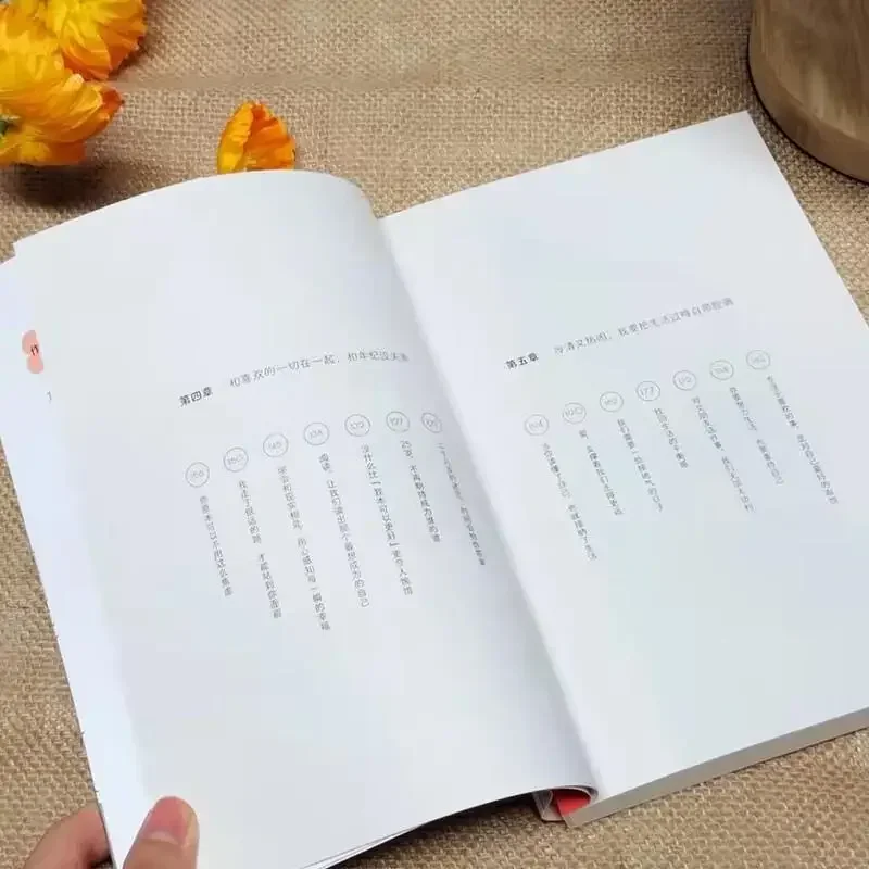 Moderne Literatuur Leesboek Ik Zou Graag Willen Dat Het Leven Koud En Winderig Is Positieve Energie Hartgenezend Licht Roman Chinees Boek