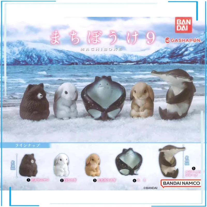 BANDAI Animal Wait for Modelling Doll Pomeranian Collection Ornamen Gashapon Children's Day Gifts Figure Model Toys