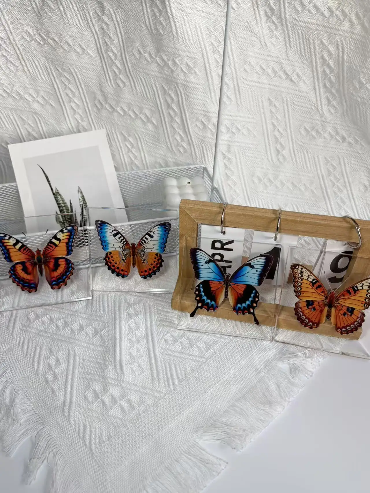 1 Stück Handgefertigtes Schmetterlings-Exemplar als Schreibtischdekoration, Kleine Ornament-Deko für Zuhause, Geschenk für Kinder und Mädchen – Detail 10
