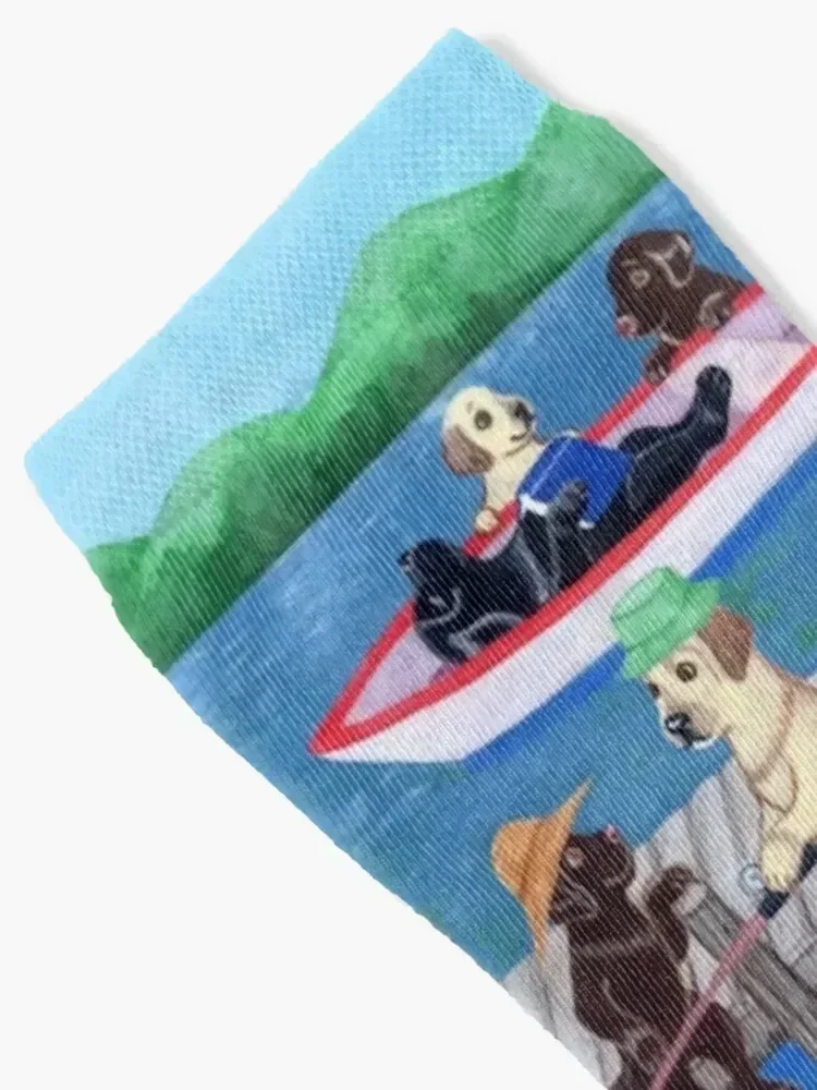 Lake Fun Labradors Socks anime winter gifts Men's Socks Women's