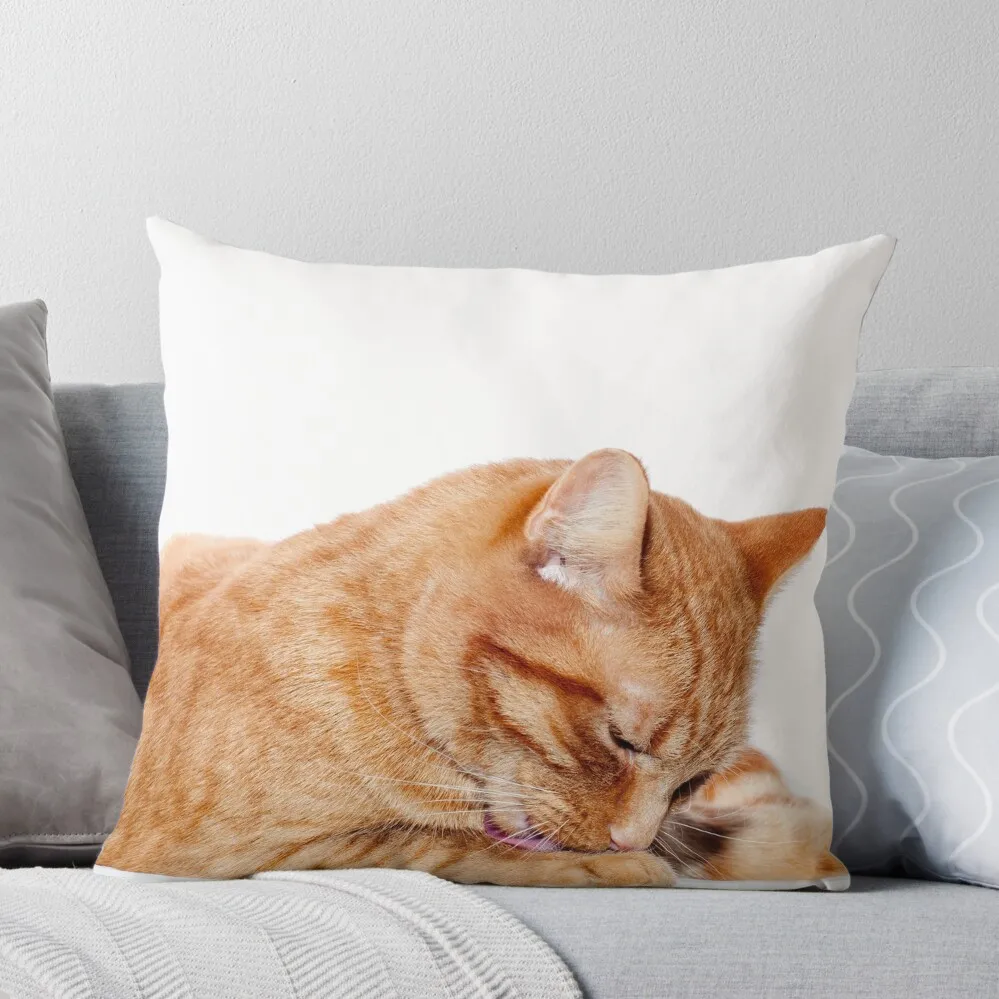 Ginger Cat Throw Pillow Ornamental Pillow Pillowcases For Pillows Couch Cushions