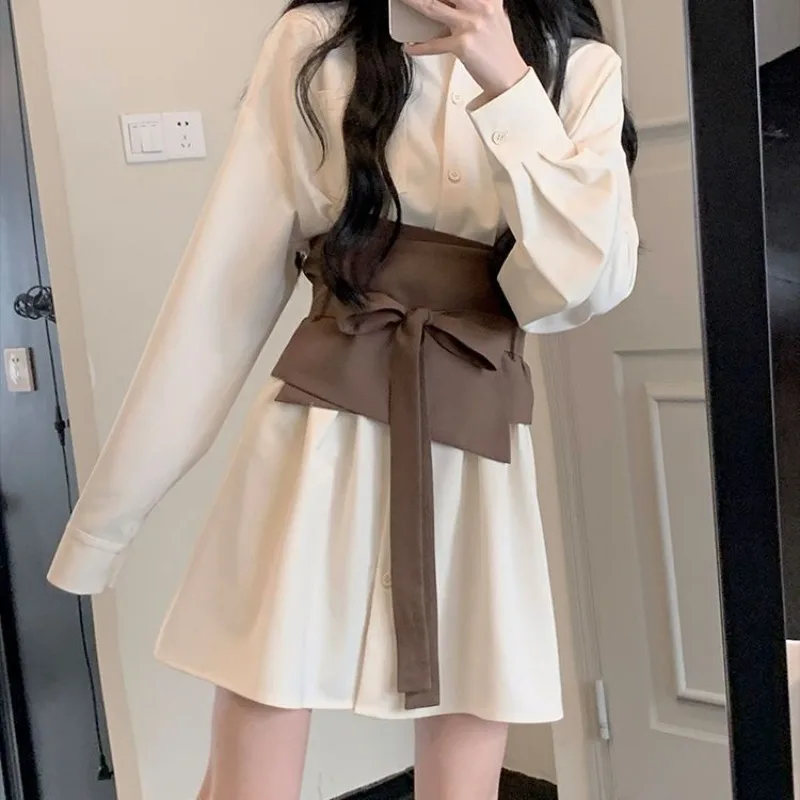 Long Sleeve Dress Women Lace-up Flattering Waist Elegant Gentle New Temper All-match Trendy Button-up Tender Spring Streetwear image 2