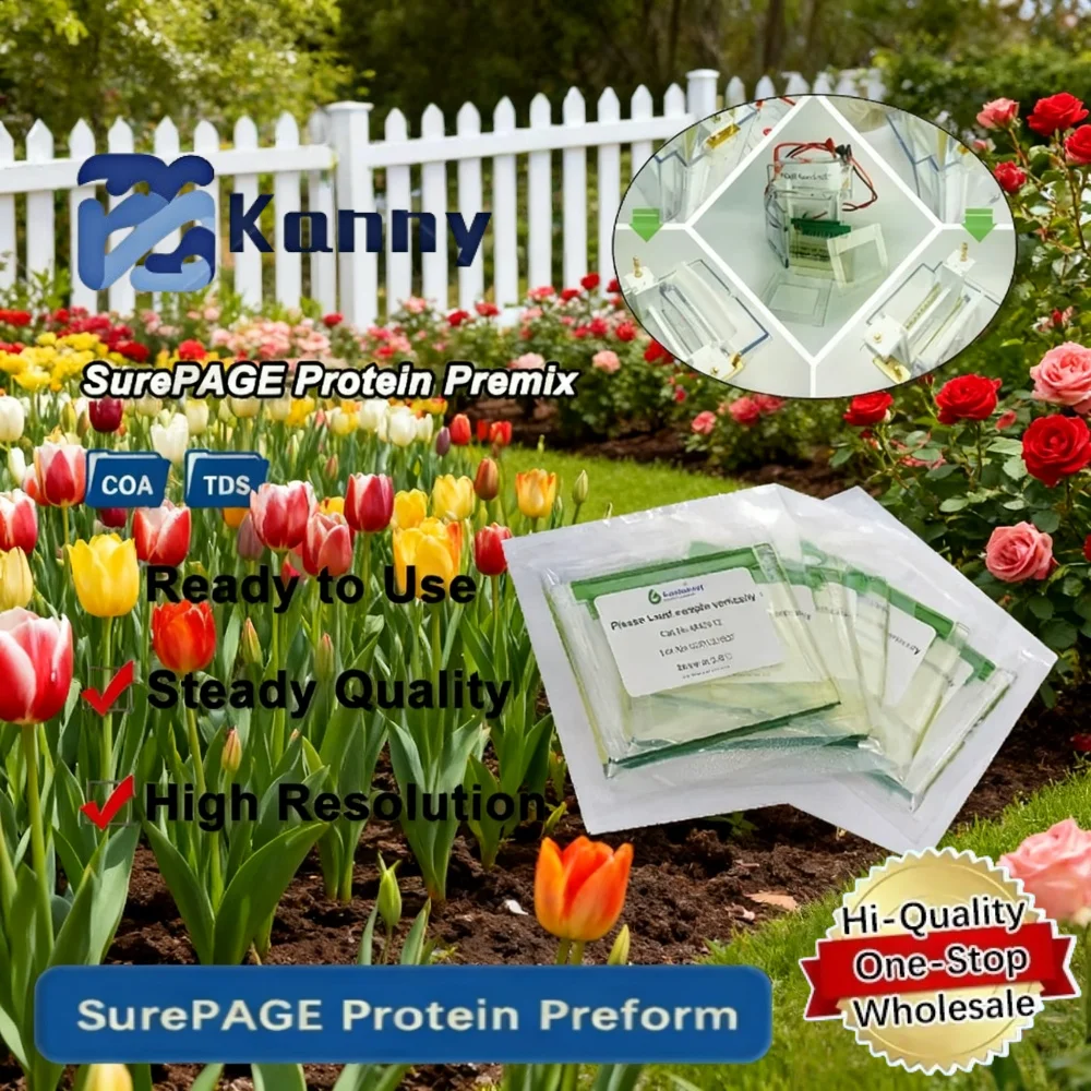Genscript Surepage Precast Protein Gel Sds Page Polyacrylamide Gel 4–20% 10 Well 12 Well 15 Well For Wb And Electrophoresis