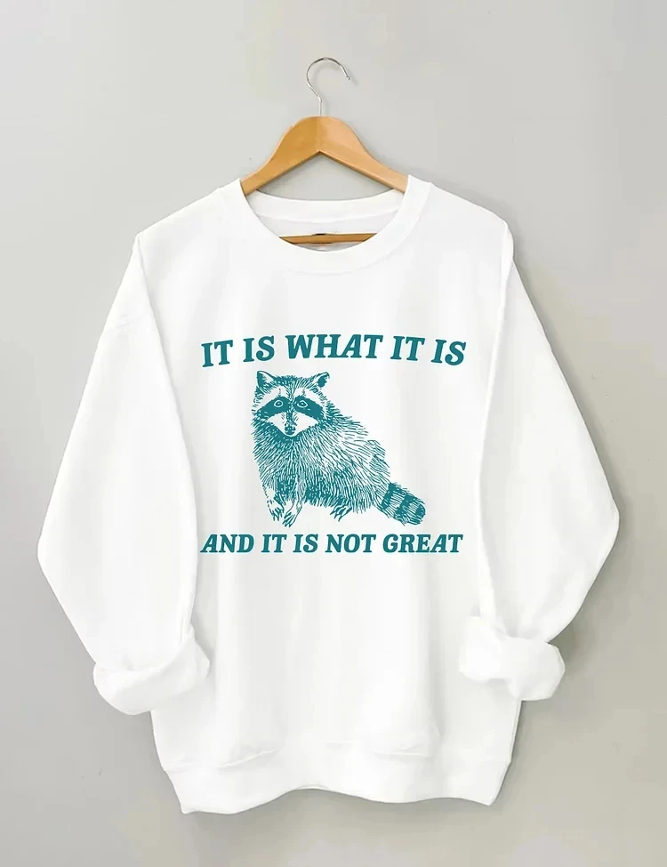 It Is What It Is and It Is Not Great Slogan Women Sweatshirt Cute Cartoon Retro Raccoon Print Female Sweater Outdoor Girl Tops