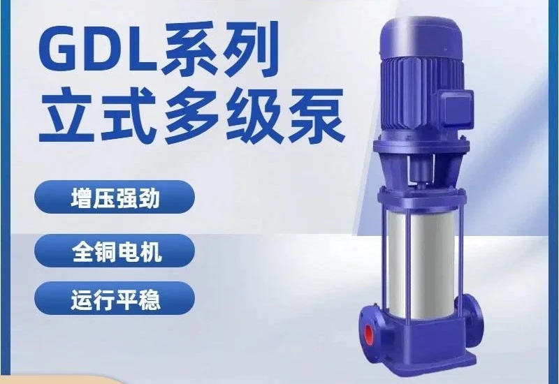 25GDL2-12X3 Vertical Multistage Centrifugal Pump High Rise Water Supply Booster Smooth Operation Low Noise