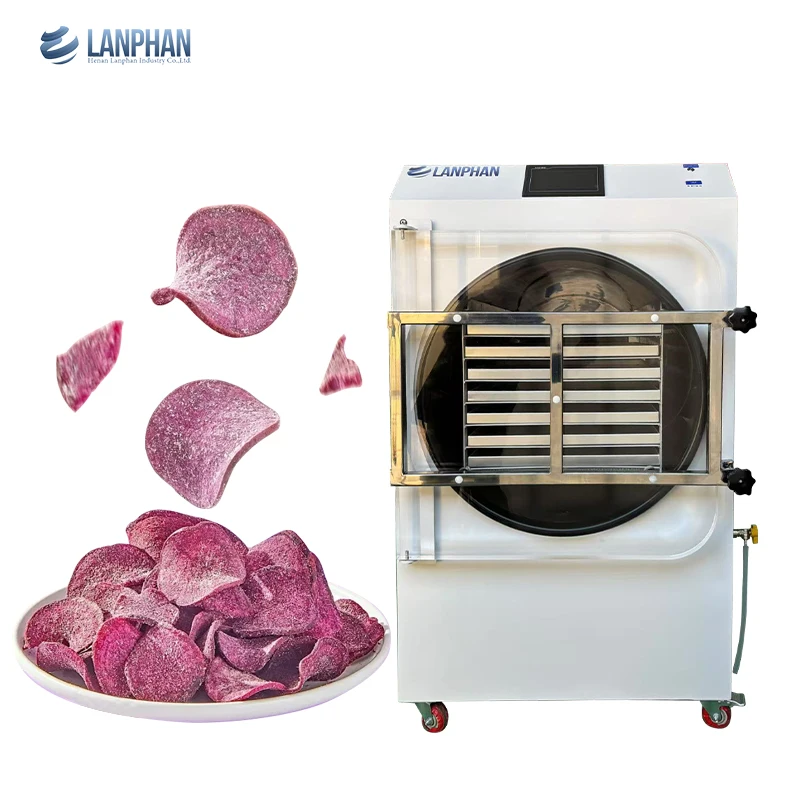 Large Tray Capacity HFD-40 Automatic Preserve More Fruit Vegetable Food Processing Vacuum Lyophilizer Sublimation Freeze Dryer