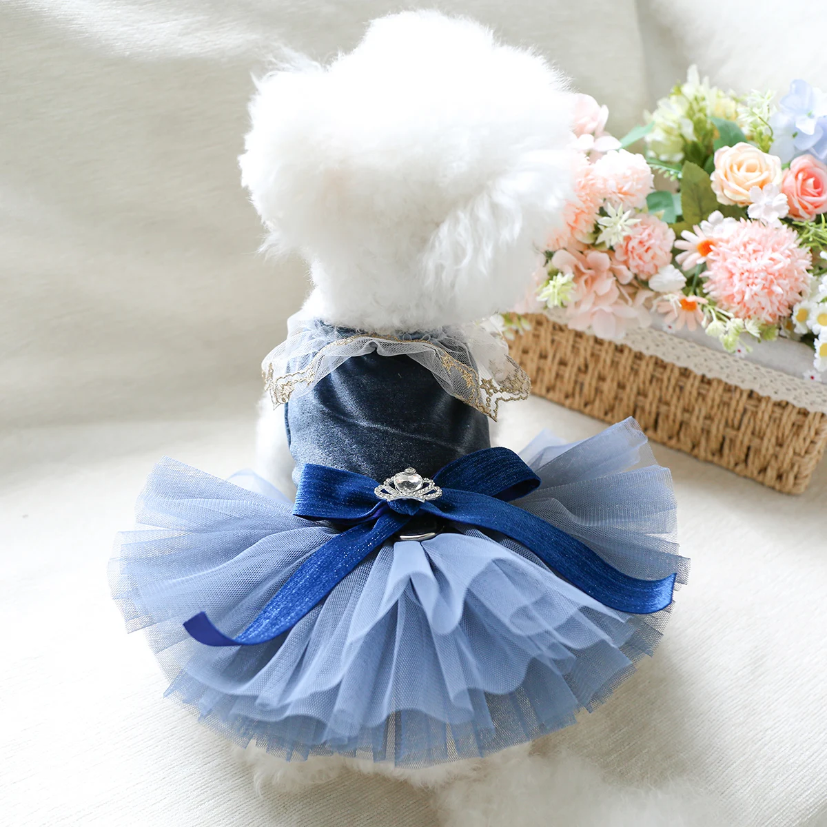 

Dog skirt Princess style Spring velvet Shaggy skirt than bear Pomeranian teddy Yorkshire puppy pet clothes Dresses