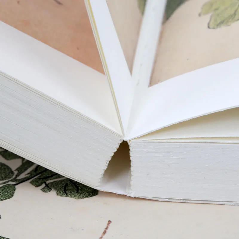 Mustard Seed Garden Painting Book High Resolution Color Edition Ancient Art Guide for Beginners Landscape Flower Bird Techniques