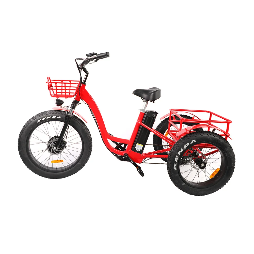 

Cargo Electric Tricycle With Steel Fork 48V 500W Fat Tire E Trike With Pedal For Sale