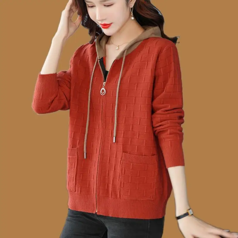 

New Cardigan for Women's Knitted Jacket with Hooded Short Hooded Sweater