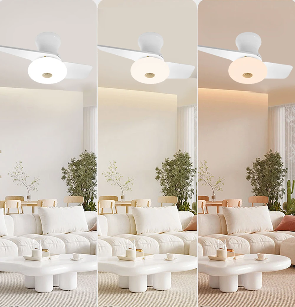 Electric Fan Integrated Ceiling Fan Light Mute Simple Two-Blade Ceiling Fan Fan Light Bedroom Living Room Restaurant Modernity