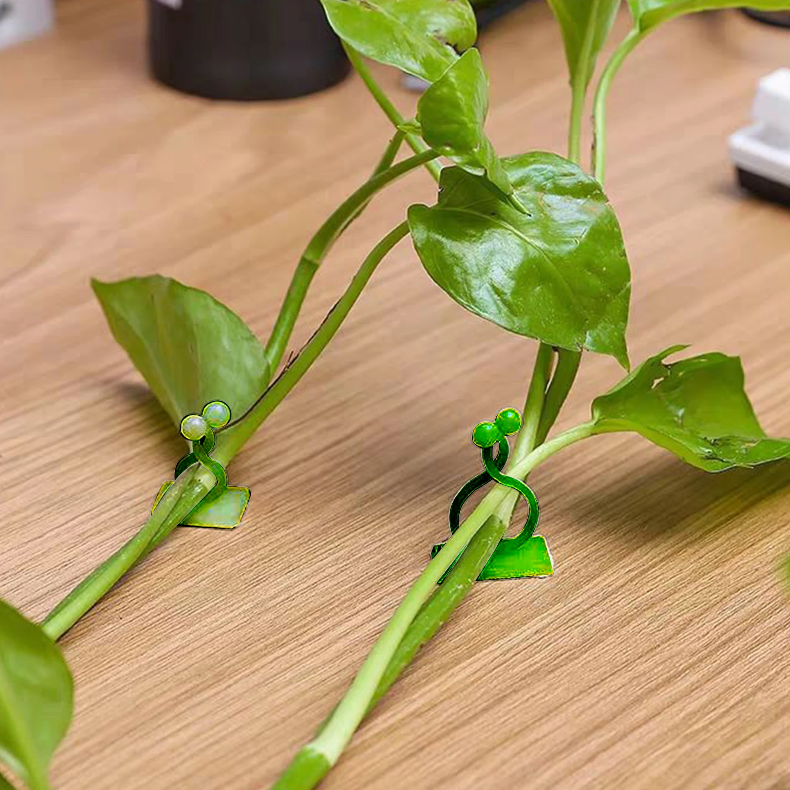 10Pcs Plant Climbing Wall Fixture Clips Invisible Wall Vines Fixing Clips Plant Fixer for Climbing Plants