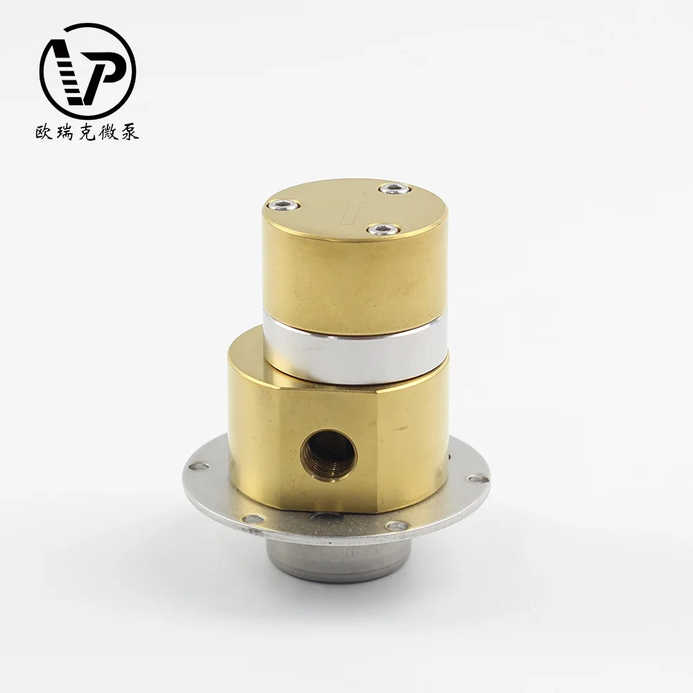 저렴한 자기 구동 수순환 펌프 연료 헤드 전기 오일 이송 고효율 기어 펌프 PLC 커플링용 화학 펌프