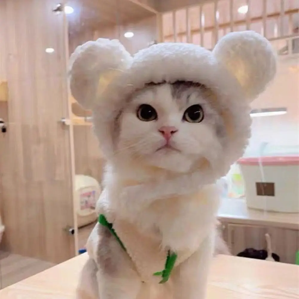 Adjustable Cat Hat Soft Short Plush Bear Pet Headgear Small Puppy Cap Comfortable Cosplay Costume Pet Accessories