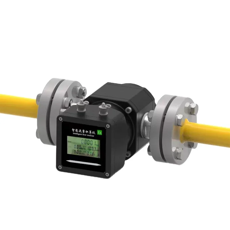

Yunyi OEM Customizable LPG Ga s Regulator with Flow Meter High Reliability Strong Anti-Interference Roots Flowmeter