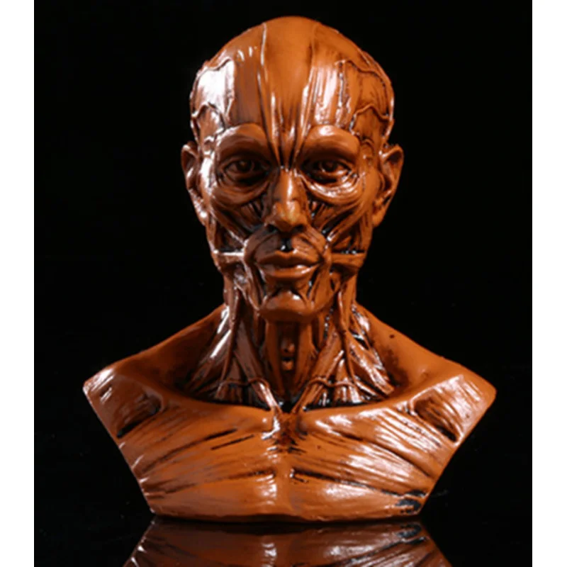Resin Muscle Skull Halloween Gift