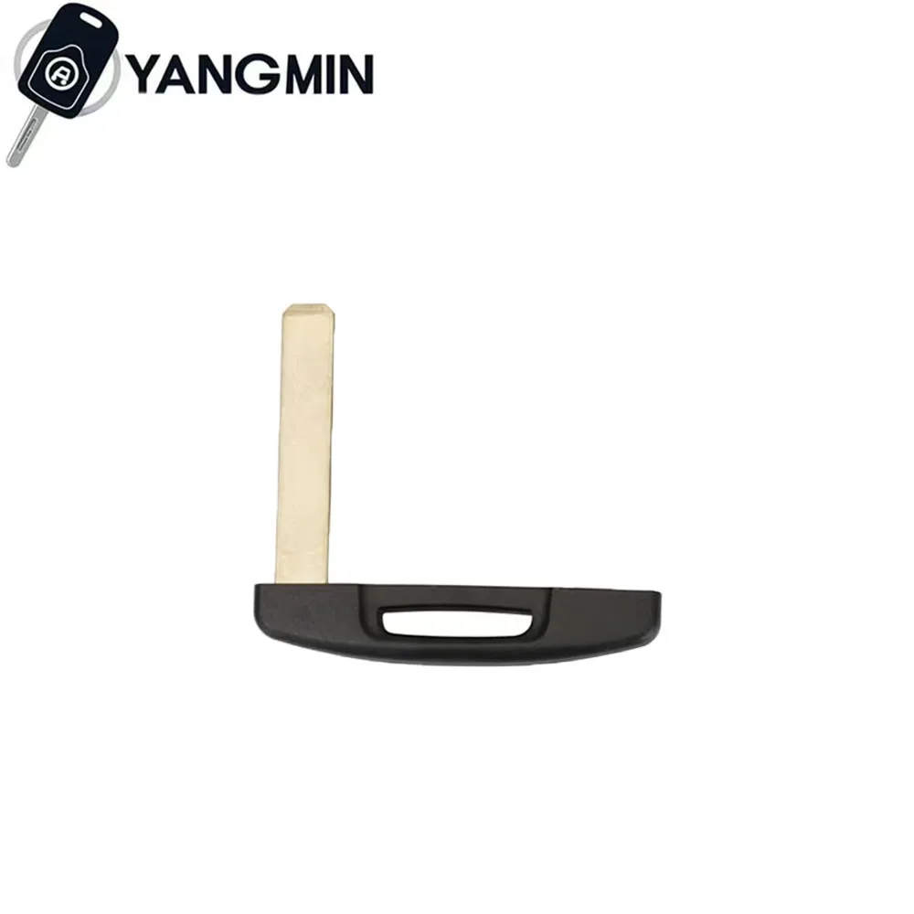 Рисунок 3 - Автомобильный ключ YANGMIN для