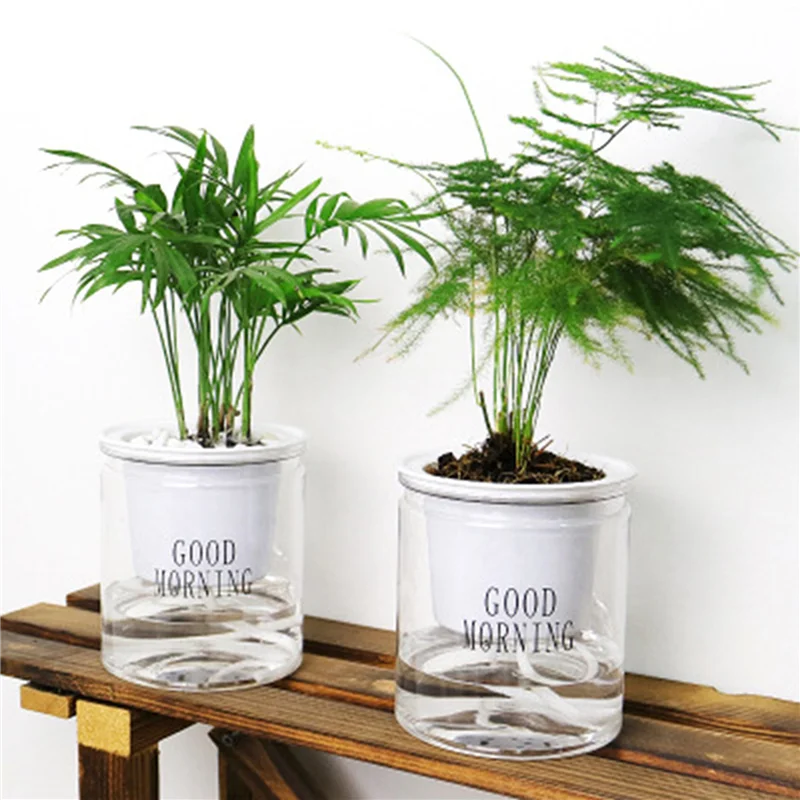 3X 自動散水植木鉢自動吸水多肉植物養殖透明ラウンドプラスチック水耕栽培-[Qahk]