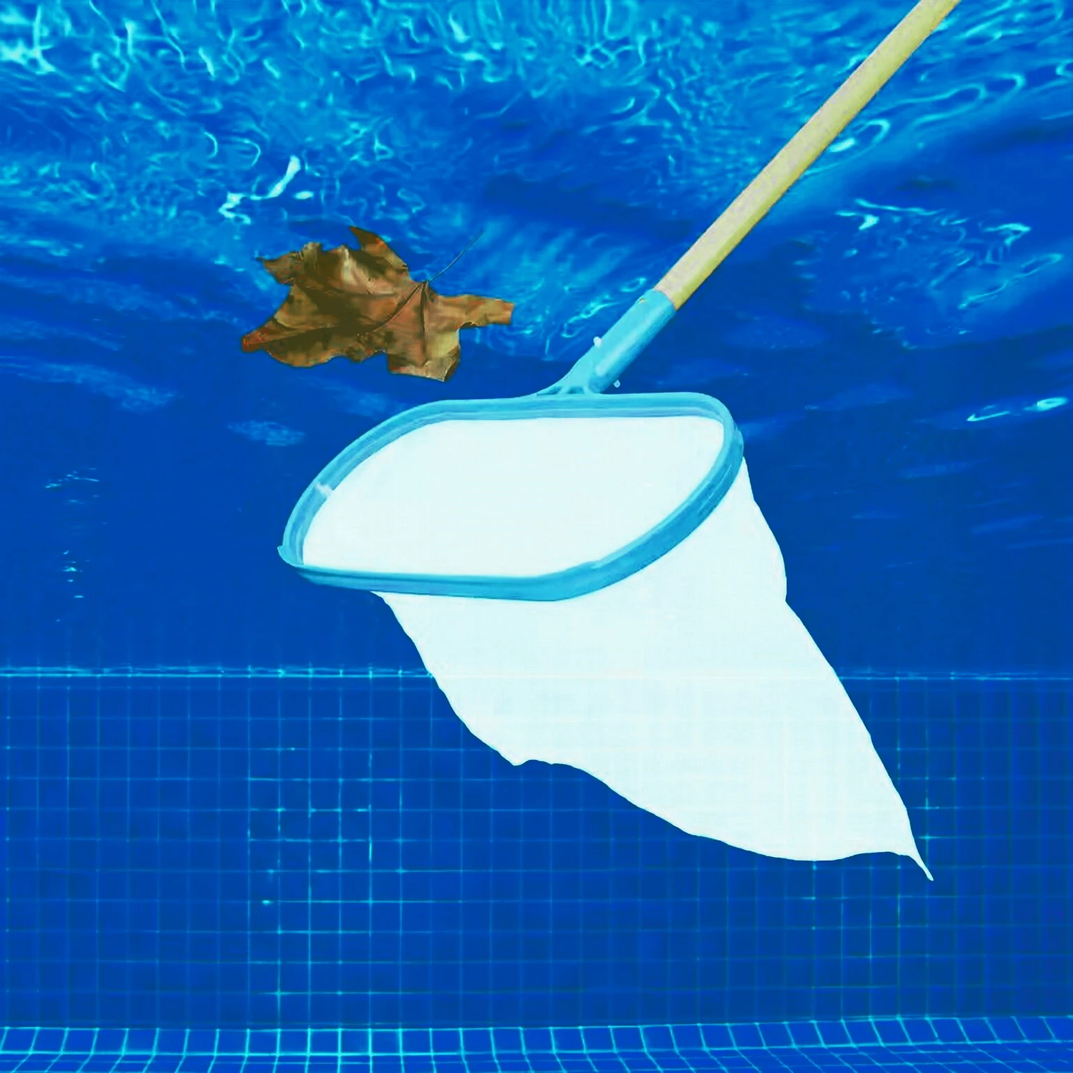 #67 Best Pool Nets to Buy In 2026