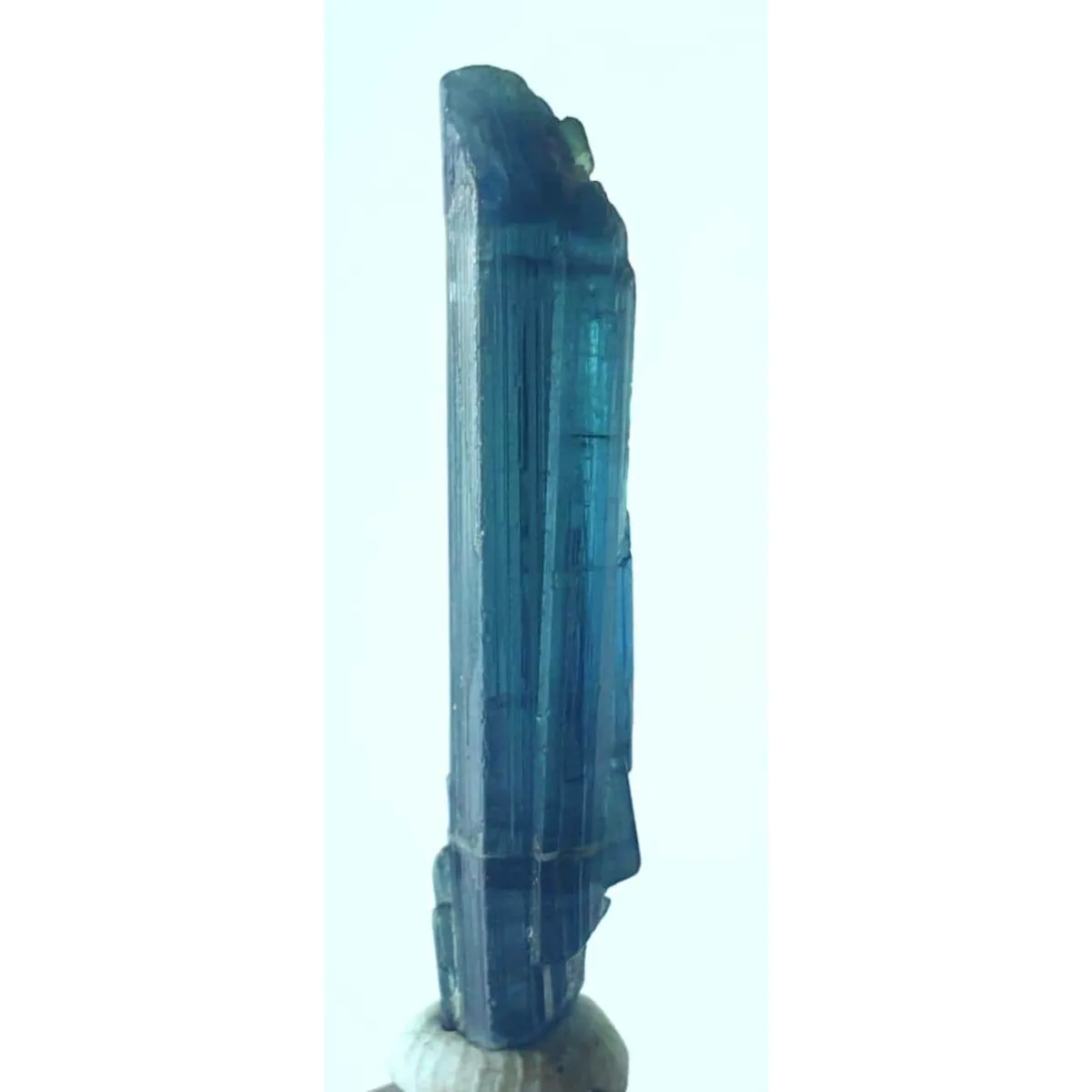 Brazilian Elbaite Raw Crystals, 10g 5-15mm Mixed Colors, Display Box for Mineral Collection & Shelf Display