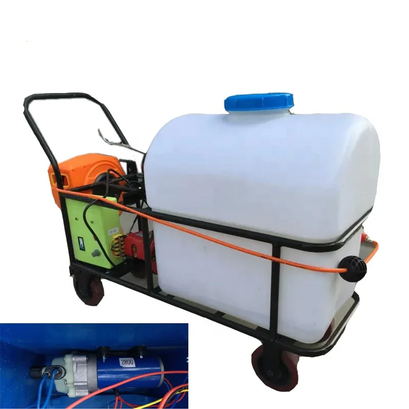 

2025Factory Workshop Hand Push Pump Petrol Power Agricultural Garden Sprayer Fogging Machine